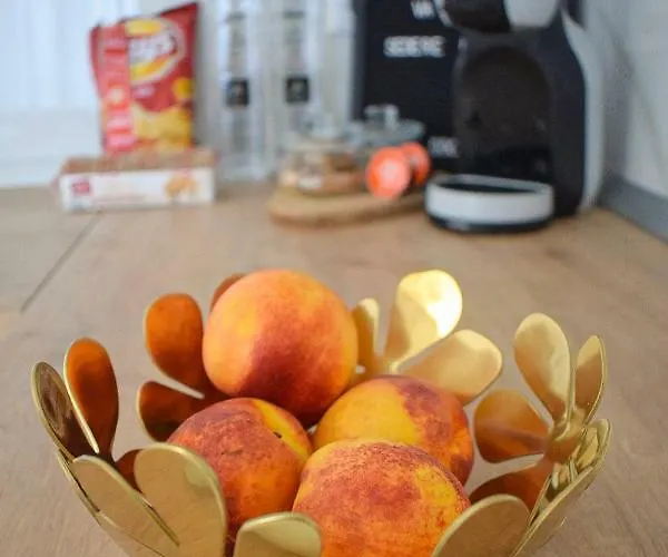 Voya - A Luxury Oasis In The Old Town Brasov